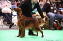 Crufts2011 294